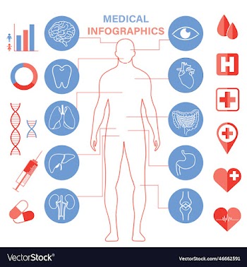 human organ icon set