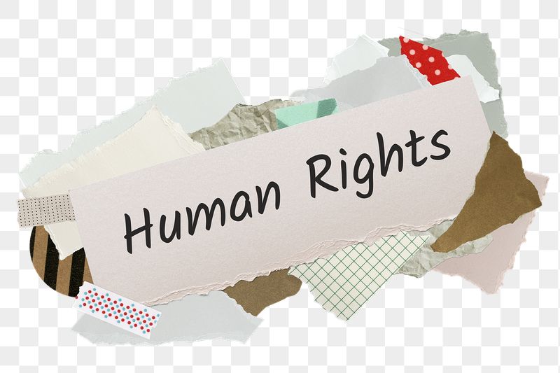 Human rights png word sticker, | Free PNG - rawpixel