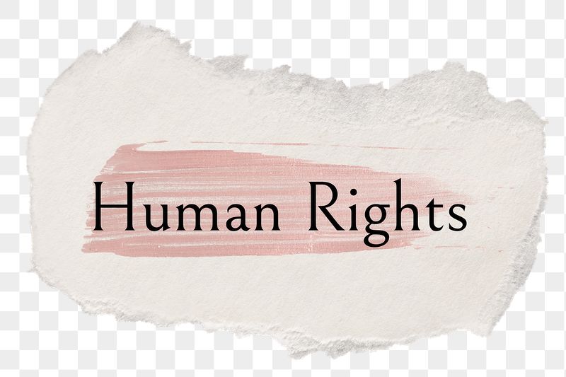 Human rights png word sticker | Free PNG - rawpixel