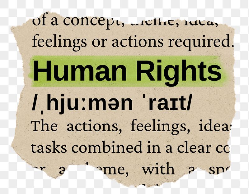 Human rights png word sticker, | Free PNG - rawpixel