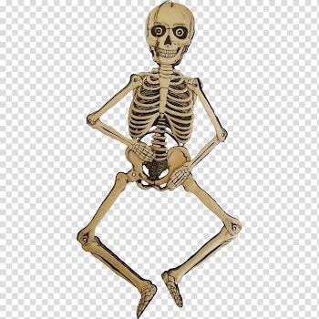 Human skeleton Bone Die cutting Joint, halloween decoration transparent background PNG clipart