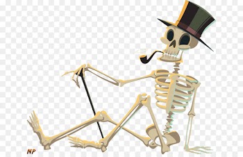Human skeleton Clip art - others 