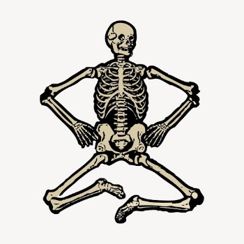 Human skeleton clipart, vintage medical | Free PSD Illustration - rawpixel