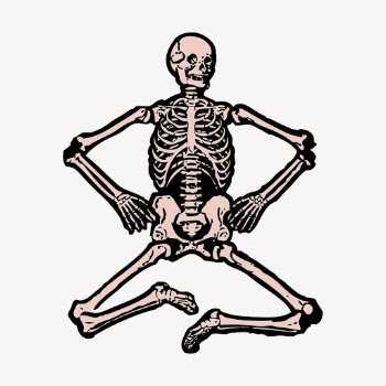 Human skeleton collage element, anatomy | Free PSD Illustration - rawpixel