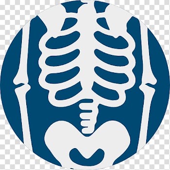 Human skeleton Computer Icons Skull Rib cage, skull transparent background PNG clipart