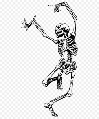 Human skeleton Dance Skull Clip art - Skull 