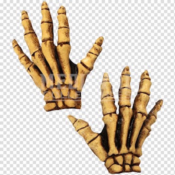 Human skeleton Glove Costume Bone, Skeleton transparent background PNG clipart