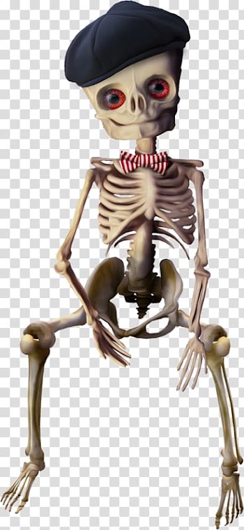 Human skeleton , Meng Meng da small skull skeleton transparent background PNG clipart
