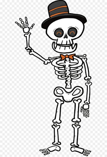 Human skeleton Microsoft PowerPoint Clip art - A greeting skeleton 