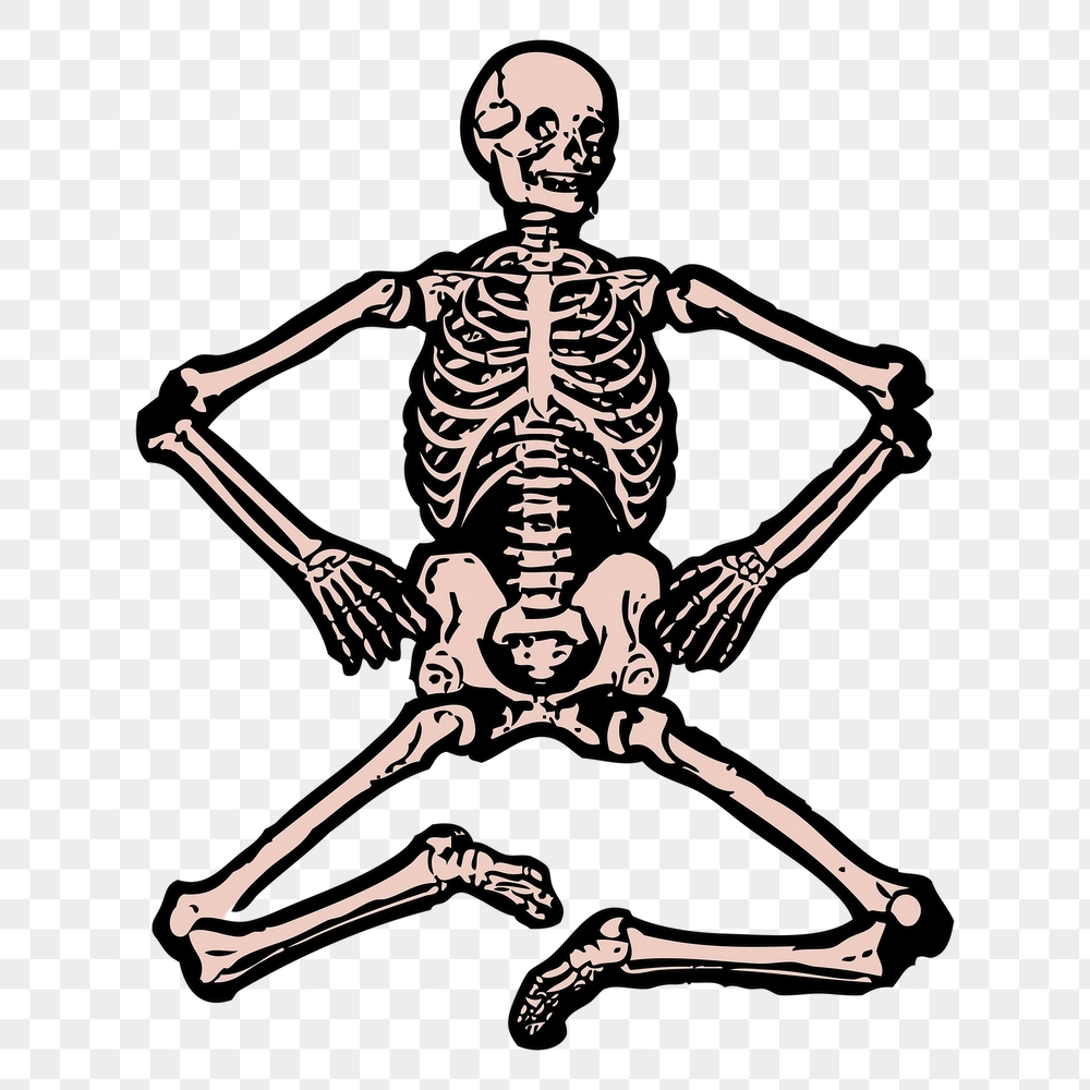 Human skeleton png sticker, Halloween | Free PNG Illustration - rawpixel