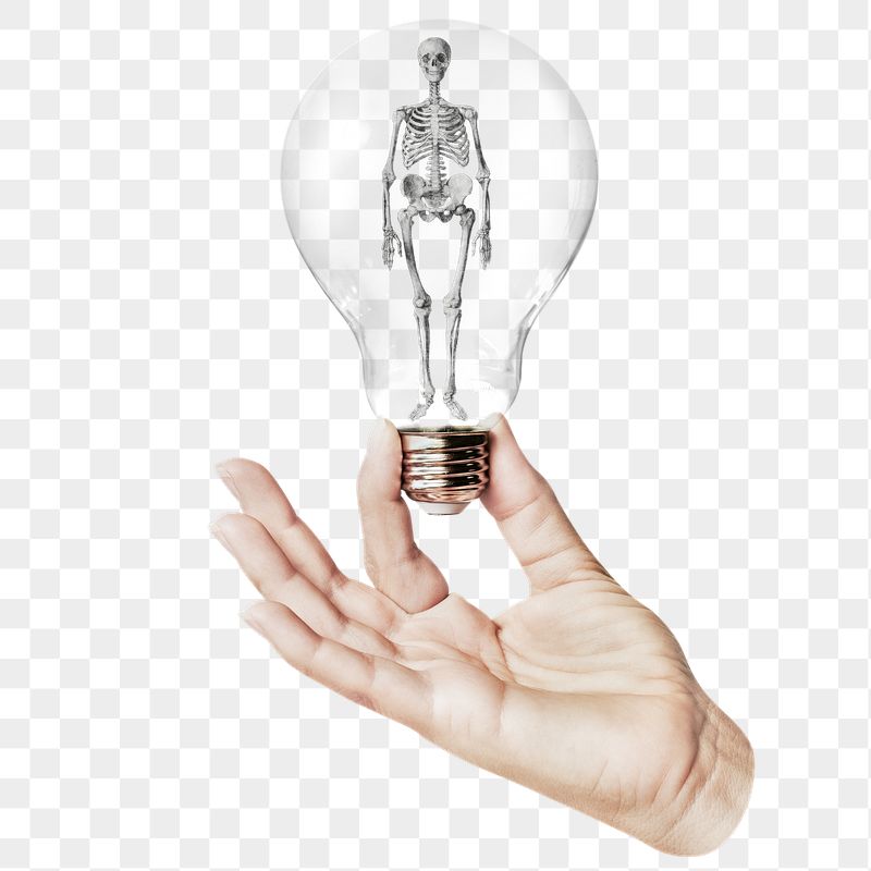 Human skeleton png sticker, hand | Free PNG - rawpixel
