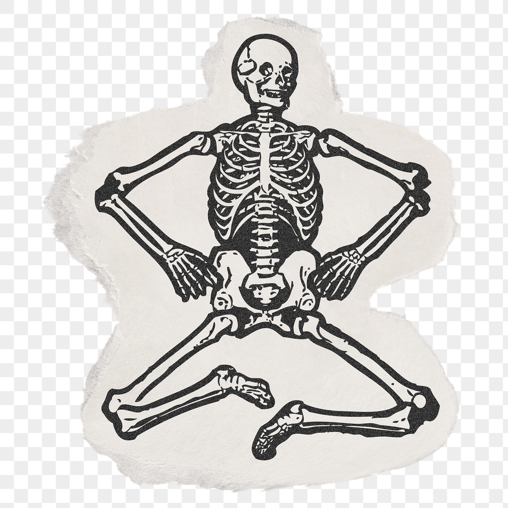 Human skeleton png sticker, ripped | Free PNG Illustration - rawpixel