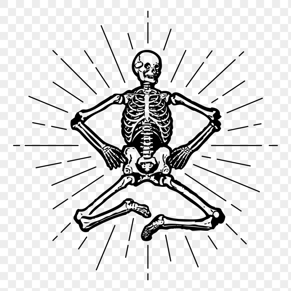 Human skeleton png sticker, vintage | Free PNG Illustration - rawpixel