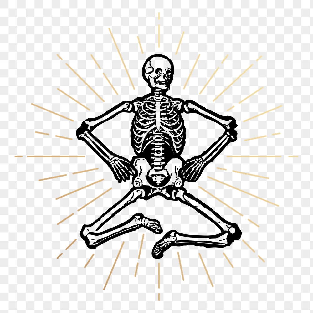 Human skeleton png sticker, vintage | Free PNG Illustration - rawpixel
