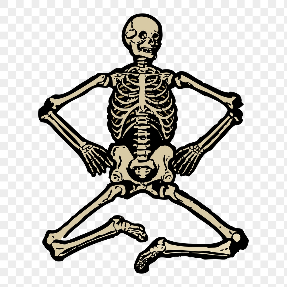 Human skeleton png sticker, vintage | Free PNG Illustration - rawpixel