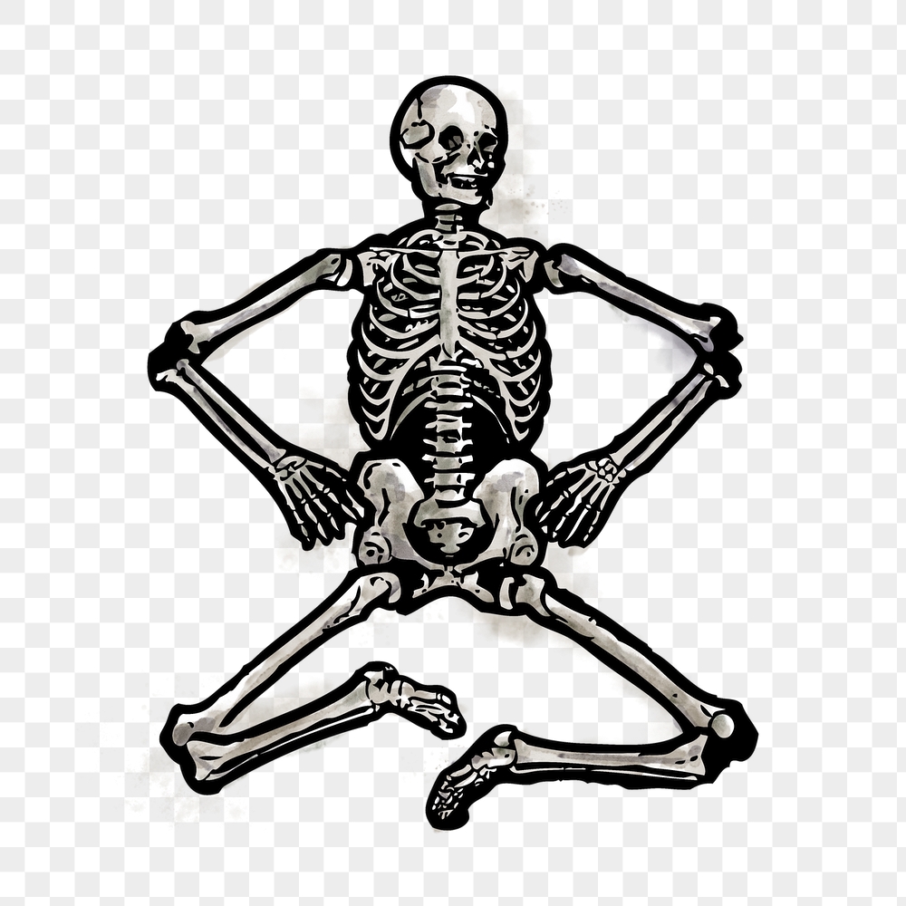 Human skeleton png sticker, watercolor | Free PNG Illustration - rawpixel