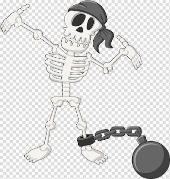 Human skeleton Skull Illustration, White skeleton sailor transparent background PNG clipart