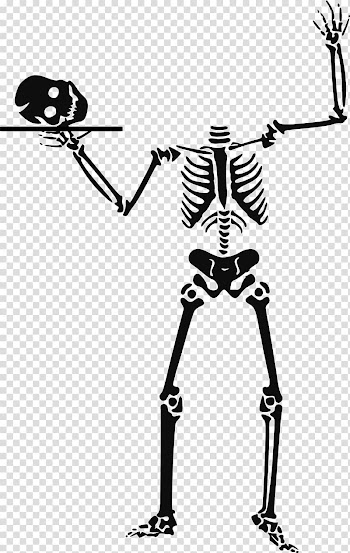 Human skeleton Skull , skeletal transparent background PNG clipart