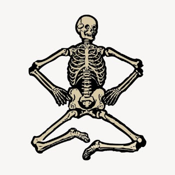 Human skeleton, vintage anatomy illustration | Free Photo Illustration - rawpixel