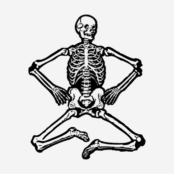 Human skeleton vintage illustration. Free | Free Photo Illustration - rawpixel