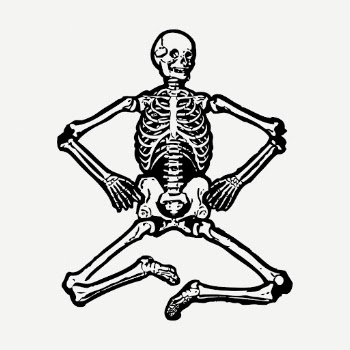 Human skeleton vintage illustration psd. | Free PSD Illustration - rawpixel