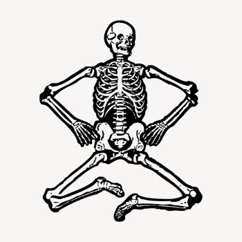Human skeleton vintage illustration vector. | Free Vector Illustration - rawpixel