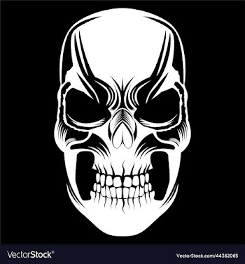 human skull