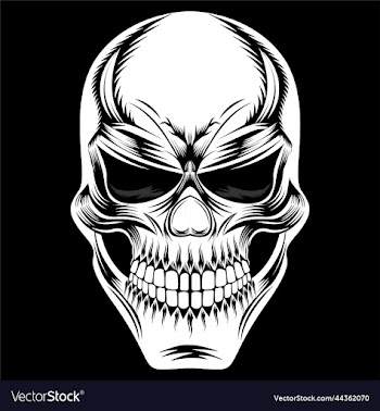 human skull