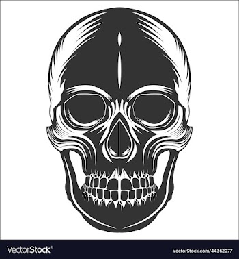 human skull