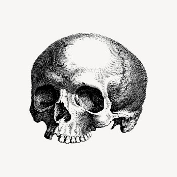 Human skull clipart, Halloween vintage | Free Vector - rawpixel