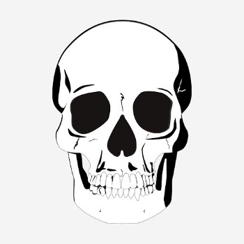 Human skull clipart, medical vintage | Free Vector - rawpixel