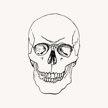 Human skull clipart, object illustration | Free Vector Illustration - rawpixel