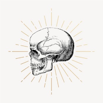 Human skull clipart, vintage medical | Free Vector Illustration - rawpixel