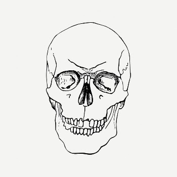 Human skull collage element, object | Free PSD Illustration - rawpixel