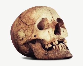 Human skull collage element psd | Free PSD - rawpixel