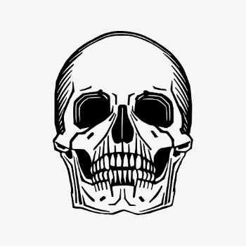 Human skull drawing clipart, Halloween | Free Vector - rawpixel