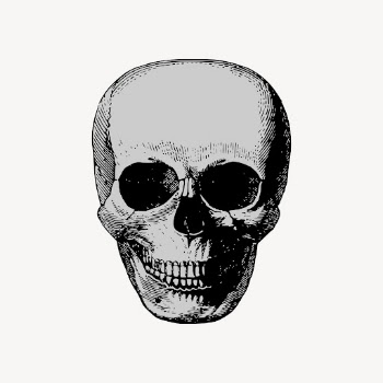 Human skull drawing clipart, Halloween | Free Vector - rawpixel