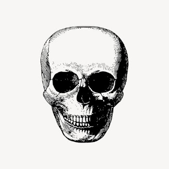 Human skull drawing clipart, Halloween | Free Vector - rawpixel