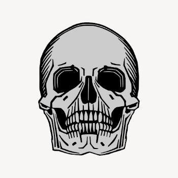 Human skull drawing clipart, Halloween | Free Vector - rawpixel