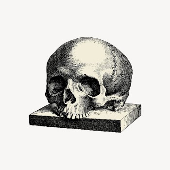 Human skull drawing clipart, Halloween | Free Vector - rawpixel
