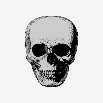 Human skull drawing, Halloween illustration | Free PSD - rawpixel