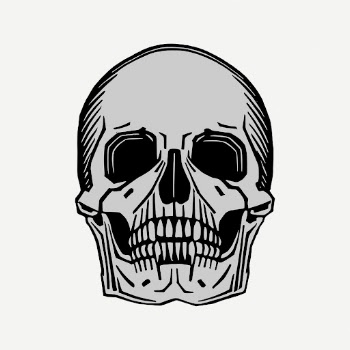 Human skull drawing, Halloween illustration | Free PSD - rawpixel