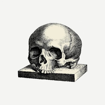Human skull drawing, Halloween illustration | Free PSD - rawpixel