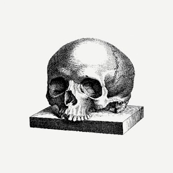 Human skull drawing, Halloween illustration | Free PSD - rawpixel