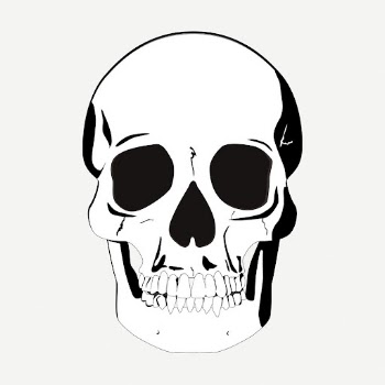 Human skull drawing, medical vintage | Free PSD - rawpixel