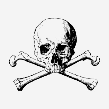 Human skull drawing, vintage Halloween | Free Photo - rawpixel