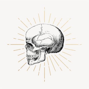 Human skull drawing, vintage medical | Free PSD Illustration - rawpixel