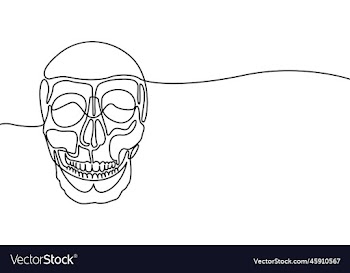 human skull drawn in one line
