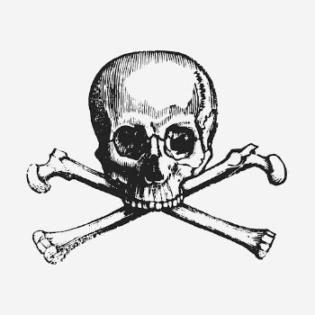 Human skull hand drawn illustration. | Free Photo - rawpixel