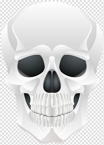 Human skull illustration, Halloween Skull , Halloween Skull transparent background PNG clipart